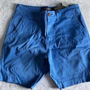 American Eagle Outfitters Vibrant Blue Flat Front Shorts